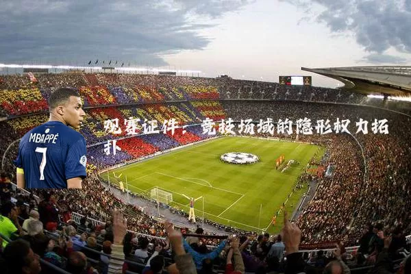 观赛证件:竞技场域的隐形权力拓扑