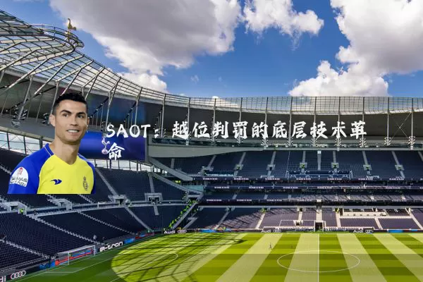 SAOT：越位判罚的底层技术革命